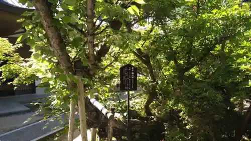 朝護孫子寺(奈良県)