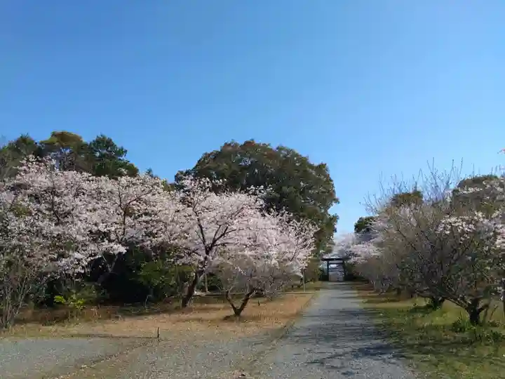 天伯山神社(愛知県)