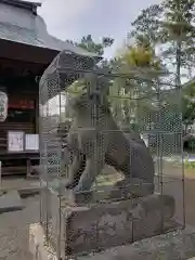 御霊神社の狛犬