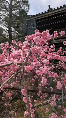 本法寺(京都府)