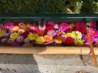 伊和志津神社の手水舎