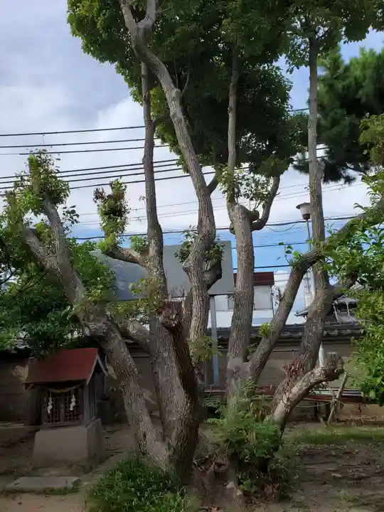 伊弉冊神社の自然