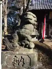 浅間神社の狛犬