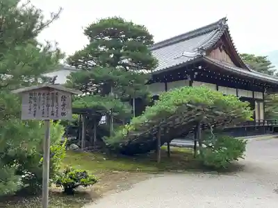 鹿苑寺(金閣寺)(京都府)