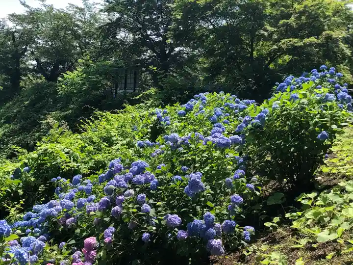 糠部神社(青森県)