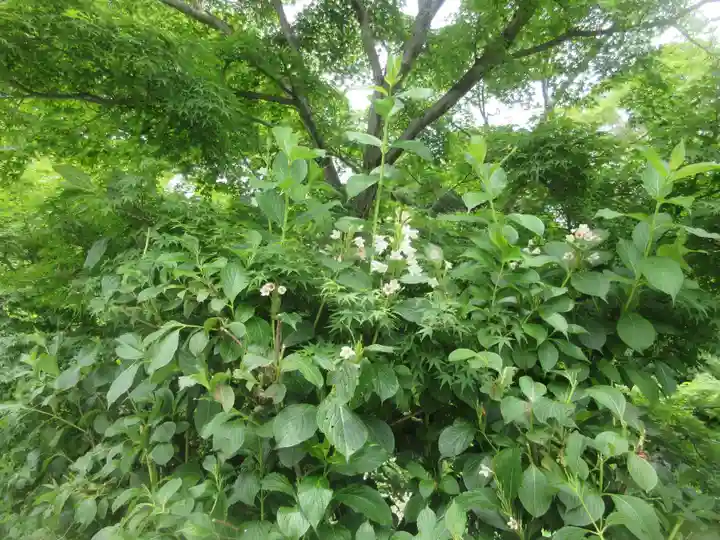 報徳二宮神社(神奈川県)