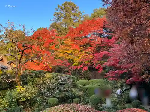 詩仙堂（丈山寺）の自然