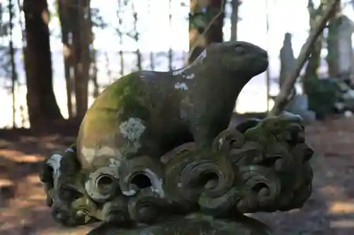 沢井八幡神社の狛犬