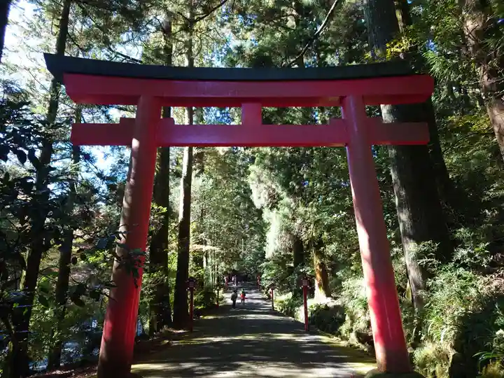 箱根神社の鳥居