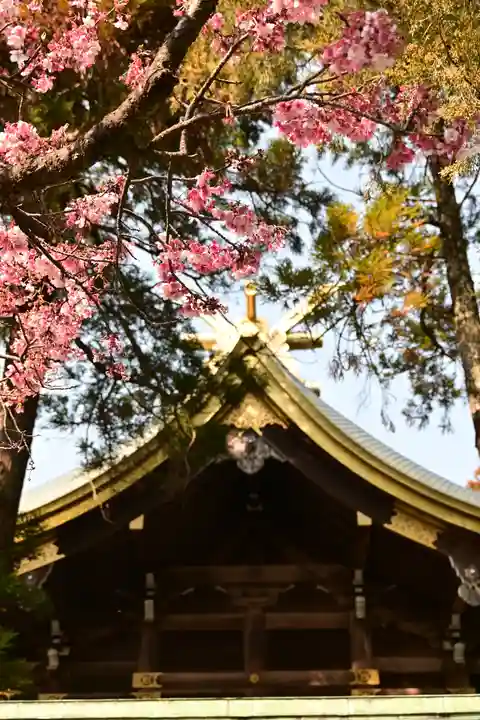 宮地嶽神社(福岡県)