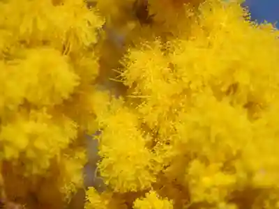 三毳不動尊(栃木県)