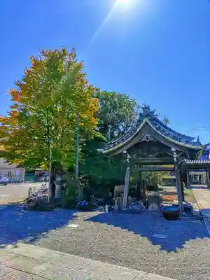 西光寺の手水舎