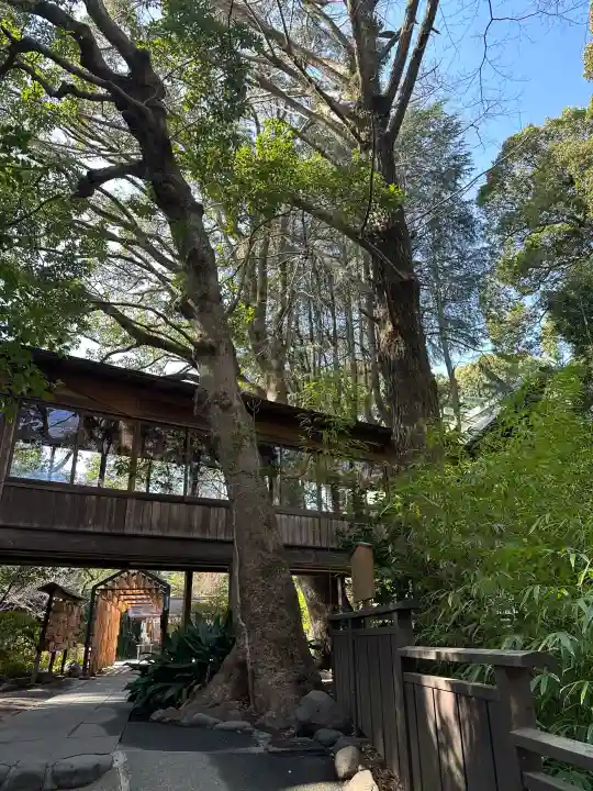 報徳二宮神社の{uncategorized: "未分類", other: "その他", undefined: "問題あり", building: "その他建物", grave: "お墓", sacred_gate: "鳥居", guardian: "狛犬", statue: "像", buddha: "仏像", history: "歴史", nature: "自然", garden: "庭園", animal: "動物", pagoda: "塔", temizu: "手水舎", mountain_gate: "山門・神門", sanctuary: "本殿・本堂", subordinate: "末社・摂社", art: "芸術", scenery: "景色", jizo: "地蔵", ema: "絵馬", goshuin: "御朱印", omikuji: "おみくじ", items: "授与品その他", amulet: "お守り", goshuincho: "御朱印帳", eats: "食事", festival: "お祭り", votive_dance: "神楽", shichigosan: "七五三参", wedding: "結婚式", experience: "体験その他", initially: "初詣", around: "周辺", anti_infection: "感染症対策"}