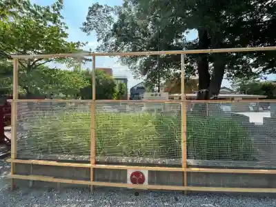 鎮守氷川神社(埼玉県)