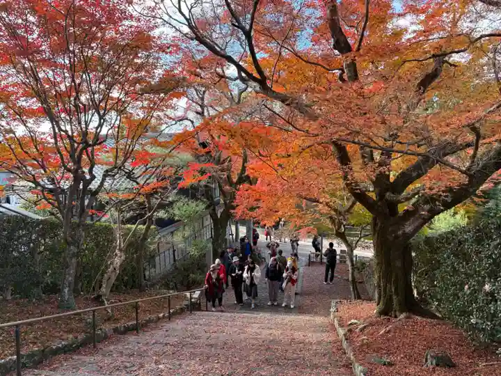 安楽寺(京都府)