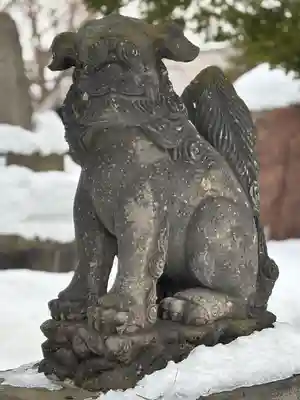 新琴似神社の狛犬