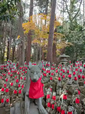 豊川閣　妙厳寺の像