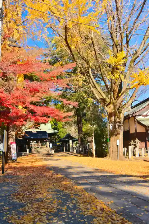 桐生天満宮(群馬県)