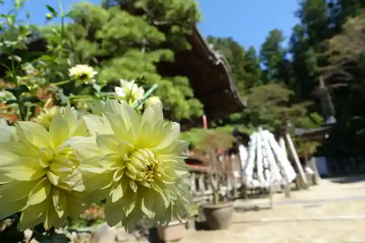 岡寺(龍蓋寺)の自然