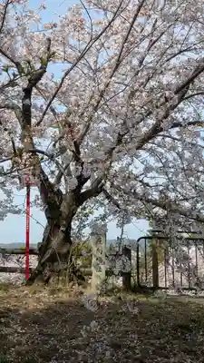 柳澤神社(奈良県)