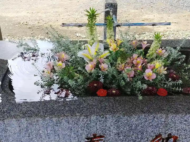 長沼八幡宮(栃木県)