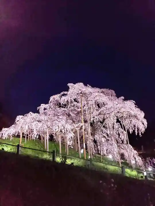 瀧桜神明宮(福島県)