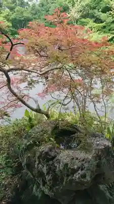 弘川寺の手水舎
