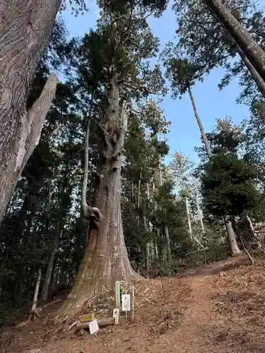 智満寺(静岡県)