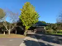 運泉寺のその他建物