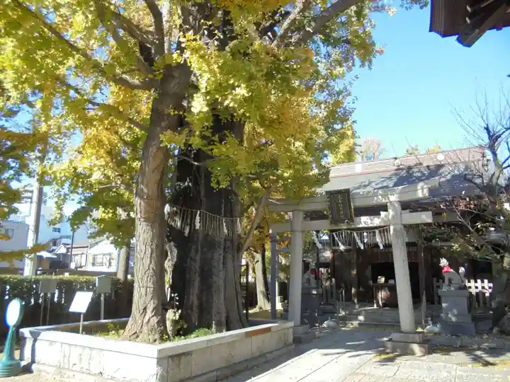 飛木稲荷神社の自然