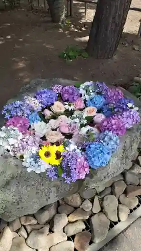 発寒神社の手水