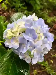 楽法寺（雨引観音）の自然