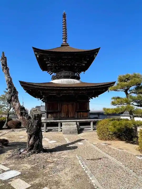 大樹寺(松安院大樹寺)(愛知県)