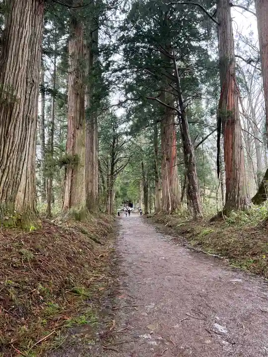 戸隠神社奥社の周辺