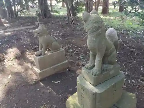 今井稲荷神社の狛犬