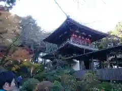 龍潭寺の建物その他