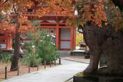今宮神社の狛犬