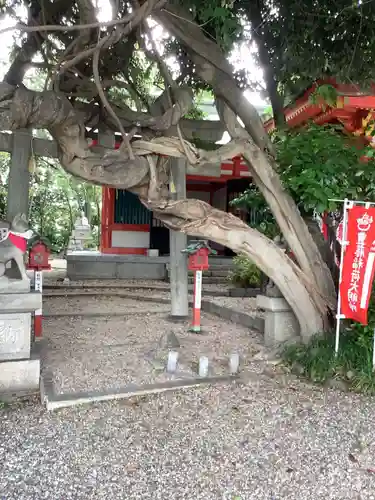 豊藤稲荷神社の自然
