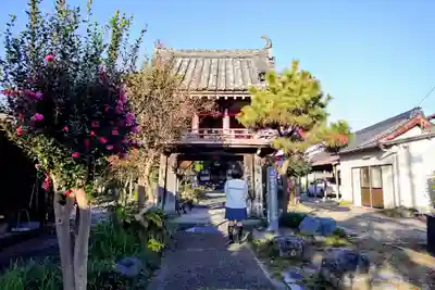 道智山 遍照院の山門・神門
