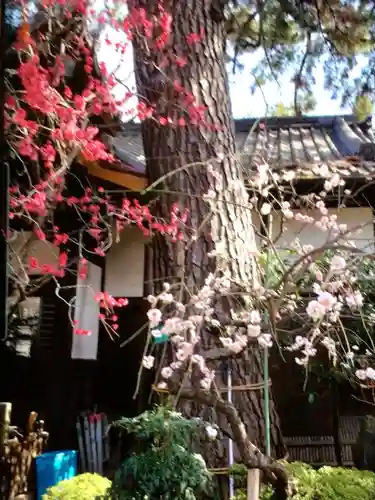 玄国寺(東京都)