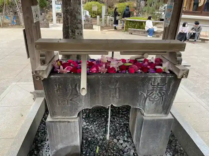 鳩森八幡神社の{uncategorized: "未分類", other: "その他", undefined: "問題あり", building: "その他建物", grave: "お墓", sacred_gate: "鳥居", guardian: "狛犬", statue: "像", buddha: "仏像", history: "歴史", nature: "自然", garden: "庭園", animal: "動物", pagoda: "塔", temizu: "手水舎", mountain_gate: "山門・神門", sanctuary: "本殿・本堂", subordinate: "末社・摂社", art: "芸術", scenery: "景色", jizo: "地蔵", ema: "絵馬", goshuin: "御朱印", omikuji: "おみくじ", items: "授与品その他", amulet: "お守り", goshuincho: "御朱印帳", eats: "食事", festival: "お祭り", votive_dance: "神楽", shichigosan: "七五三参", wedding: "結婚式", experience: "体験その他", initially: "初詣", around: "周辺", anti_infection: "感染症対策"}