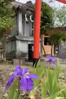 總社 和田八幡宮(福井県)