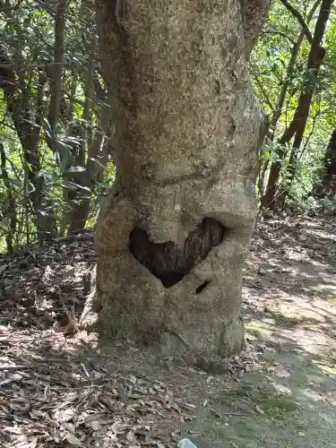 小笠神社の自然