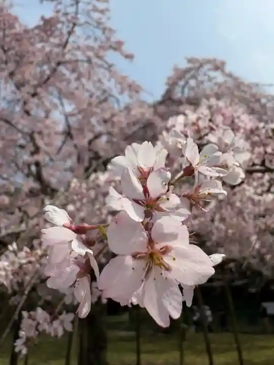 大神神社の{uncategorized: "未分類", other: "その他", undefined: "問題あり", building: "その他建物", grave: "お墓", sacred_gate: "鳥居", guardian: "狛犬", statue: "像", buddha: "仏像", history: "歴史", nature: "自然", garden: "庭園", animal: "動物", pagoda: "塔", temizu: "手水舎", mountain_gate: "山門・神門", sanctuary: "本殿・本堂", subordinate: "末社・摂社", art: "芸術", scenery: "景色", jizo: "地蔵", ema: "絵馬", goshuin: "御朱印", omikuji: "おみくじ", items: "授与品その他", amulet: "お守り", goshuincho: "御朱印帳", eats: "食事", festival: "お祭り", votive_dance: "神楽", shichigosan: "七五三参", wedding: "結婚式", experience: "体験その他", initially: "初詣", around: "周辺", anti_infection: "感染症対策"}