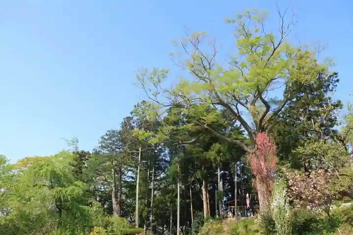 阿久津「田村神社」(郡山市阿久津町)旧社名:伊豆箱根三嶋三社の景色