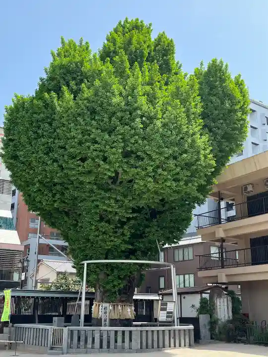 櫛田神社の食事