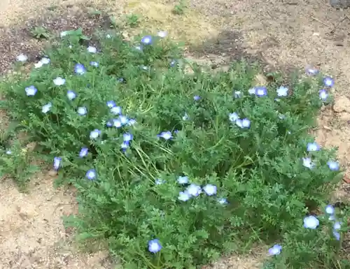 大鏑神社の自然