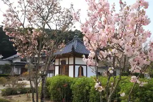 勝定寺の庭園