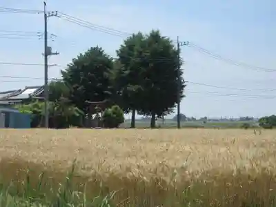 鷲神社 (埼玉県)