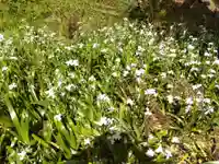 角原神社(福井県)